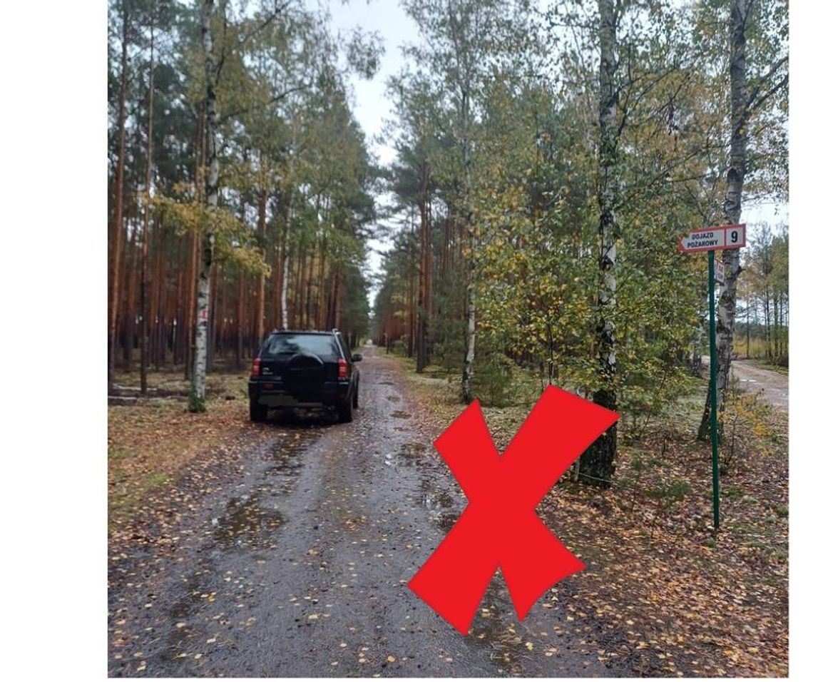 Leśnicy ostrzegają: źle zaparkujesz, zapłacisz nawet 5000 zł