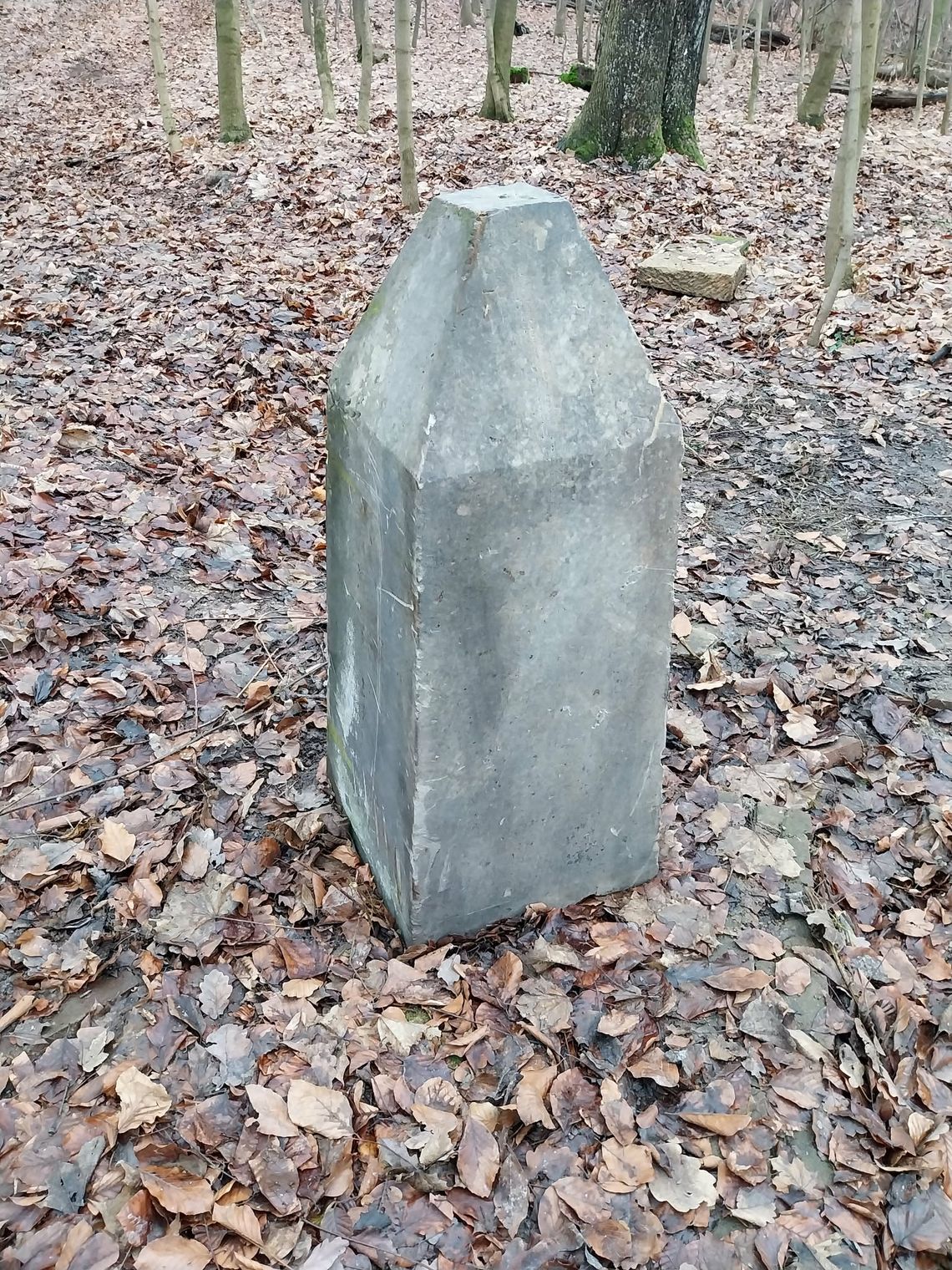 Magia internetu zadziałała. GROT odzyskał fragment pomnika w Dalkowie Magia internetu zadziałała. GROT odzyskał fragment pomnika w Dalkowie