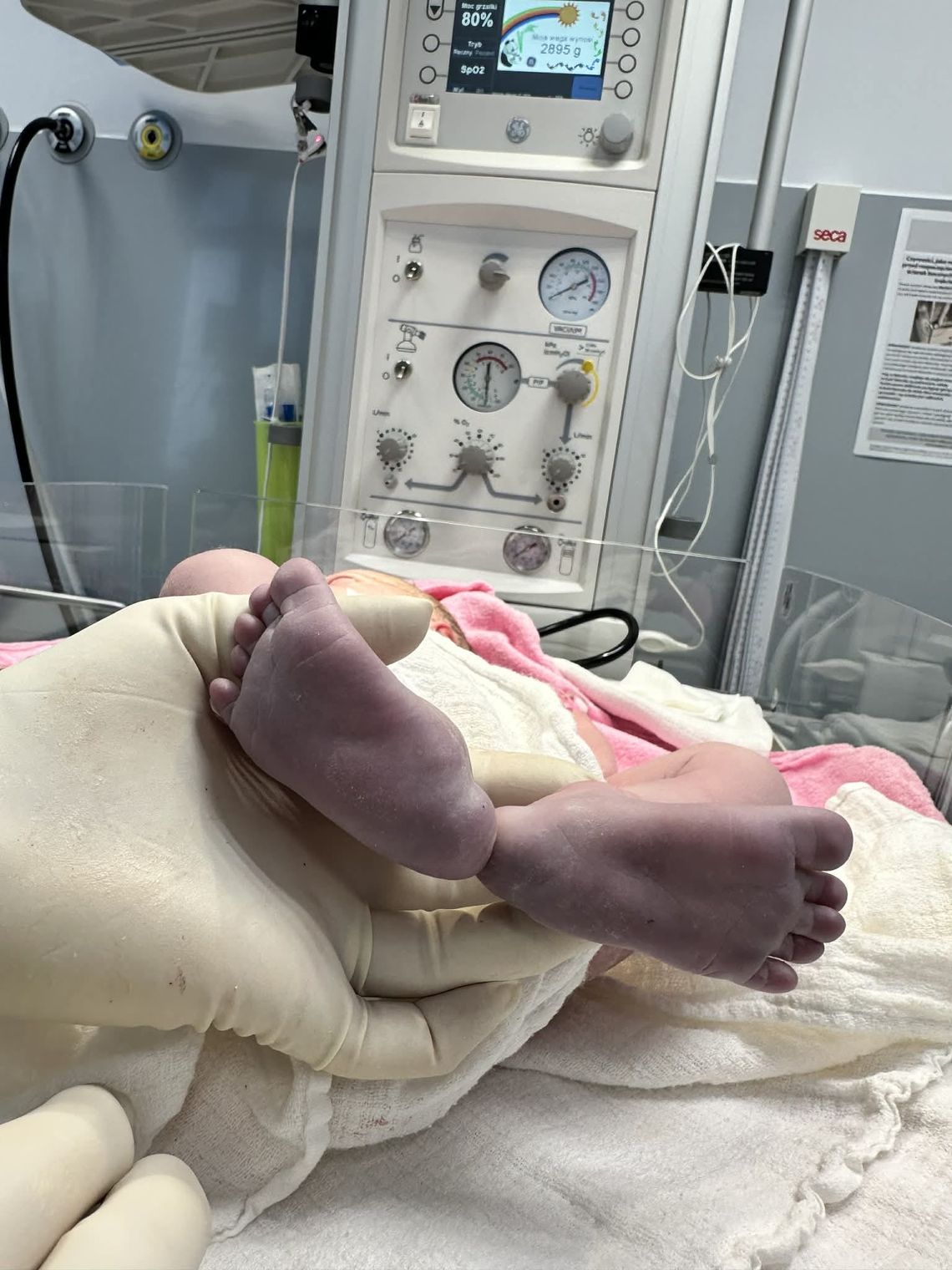 Marzec na porodówce w Głogowie. Ilu chłopców, ile dziewczynek?