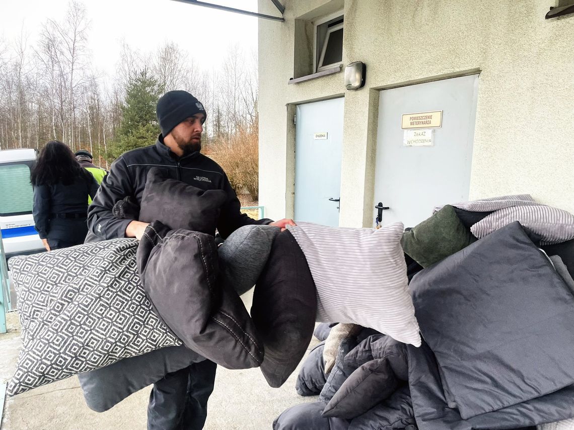 Miejskie Schronisko dla zwierząt z nowym wsparciem Miejskie Schronisko dla zwierząt z nowym wsparciem