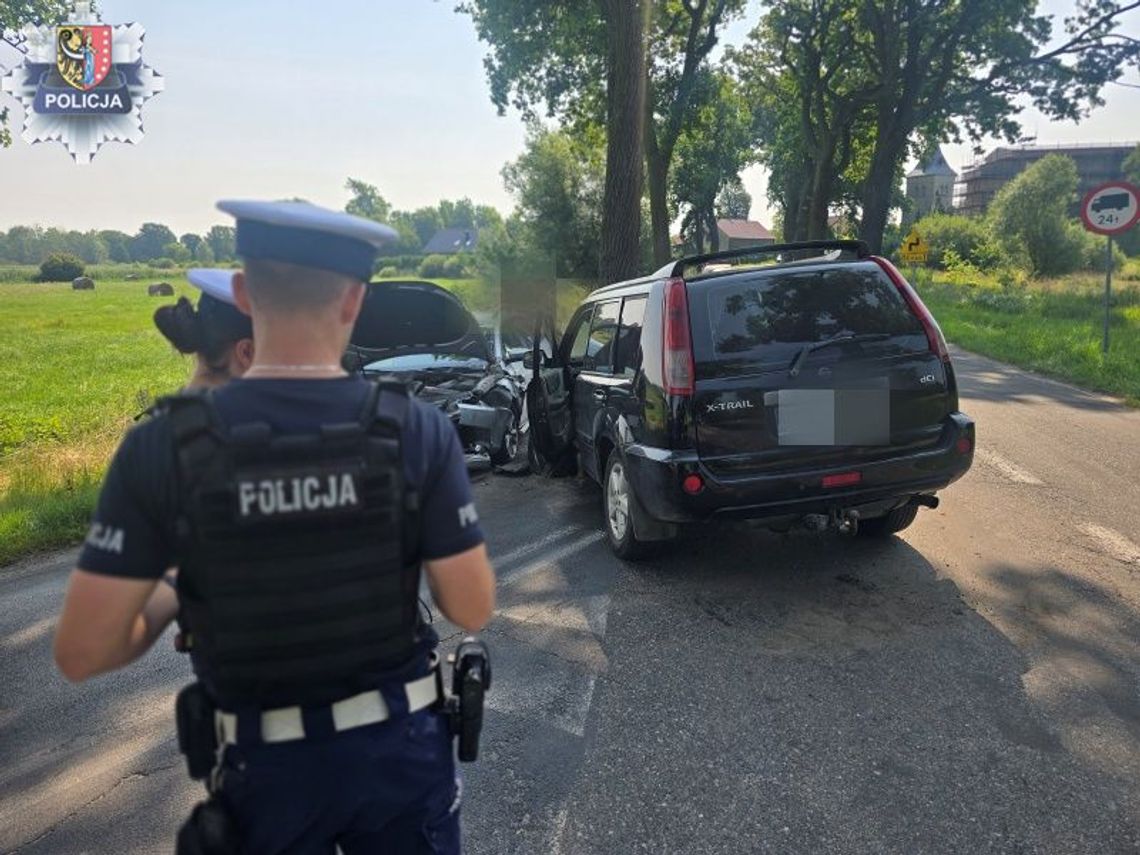 Niebezpieczne zdarzenie w Jędrzychowie. Policja apeluje o ostrożność