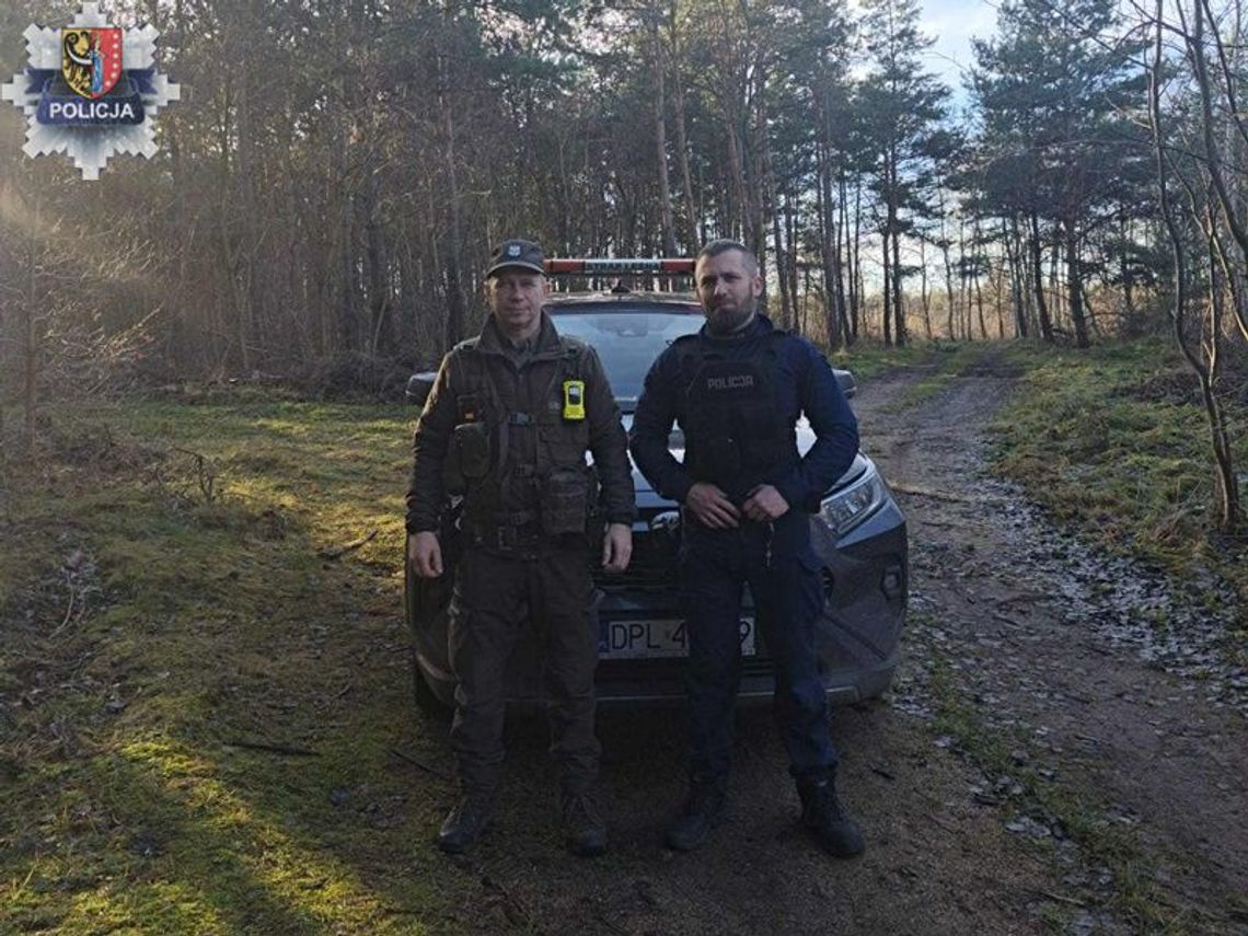 Nielegalna wycinka pod lupą służb Nielegalna wycinka pod lupą służb