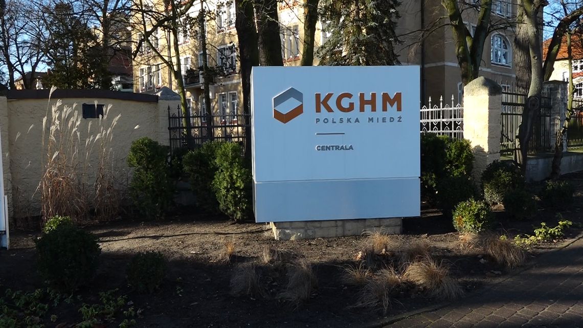 Nowy plan dla lasów KGHM. Konsultacje trwają do 30 stycznia