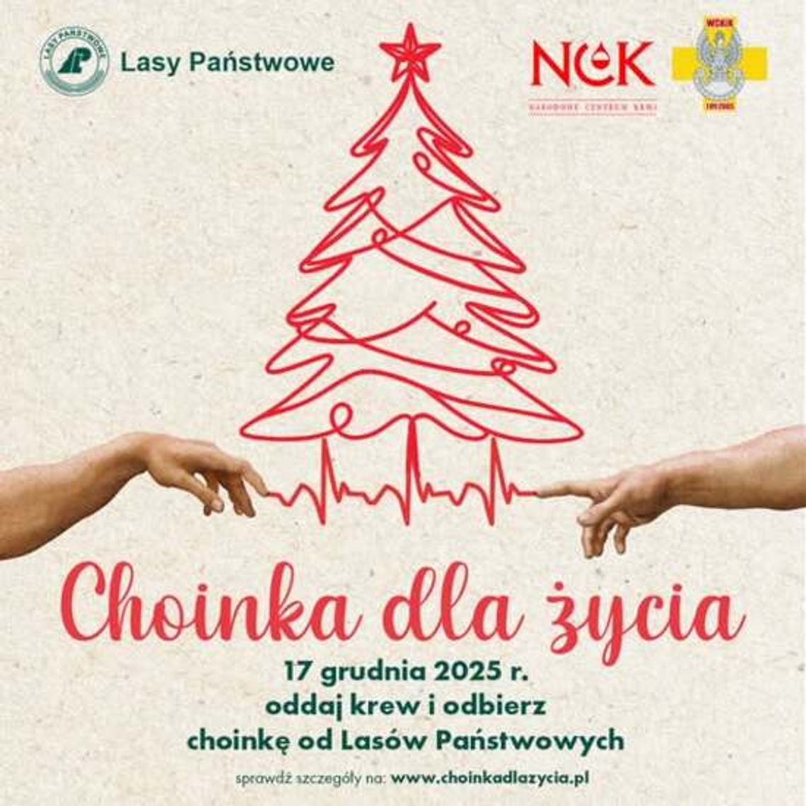 Oddaj krew 17 grudnia i odbierz naturalną choinkę z lasu Oddaj krew 17 grudnia i odbierz naturalną choinkę z lasu