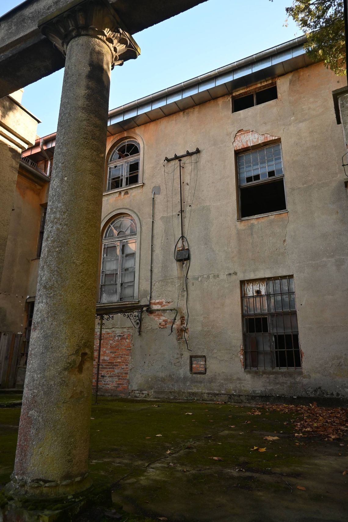 Pałac w Dalkowie: stare okna odzyskują blask dzięki ekspertom