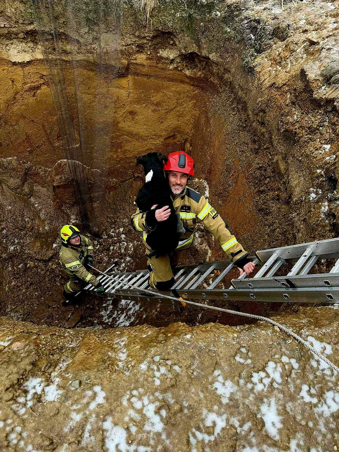 Pies uratowany z głębokiego dołu. Bohaterska akcja strażaków.