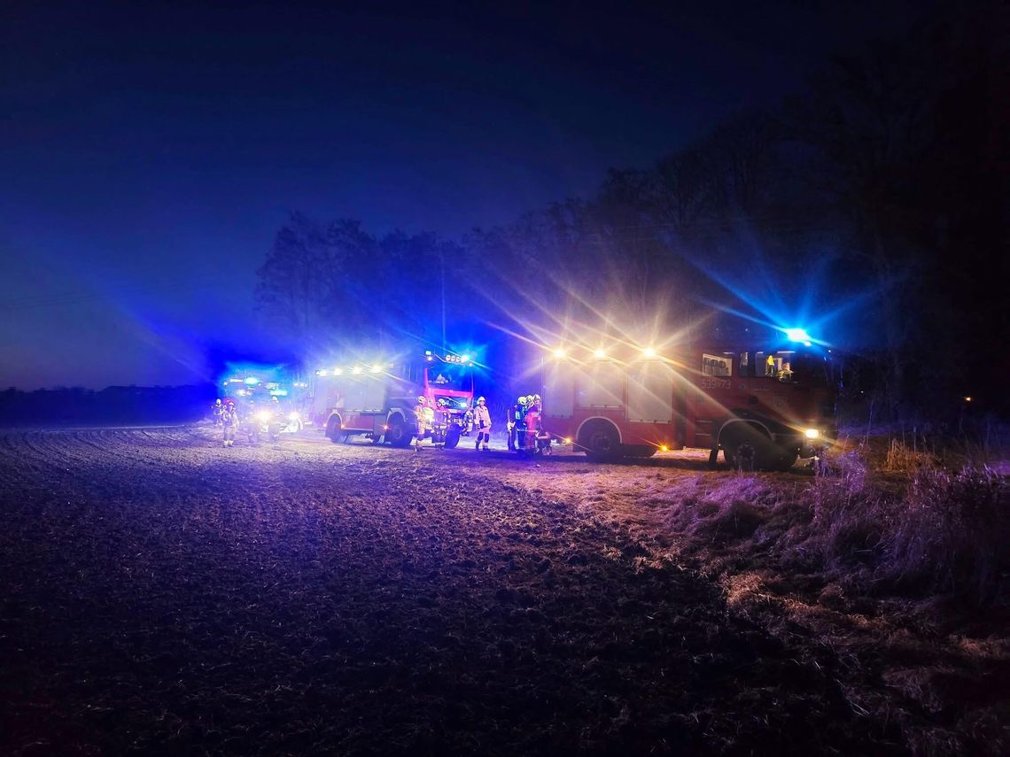 Pożar nieużytków w Retkowie. Strażacy gasili 50 m² traw