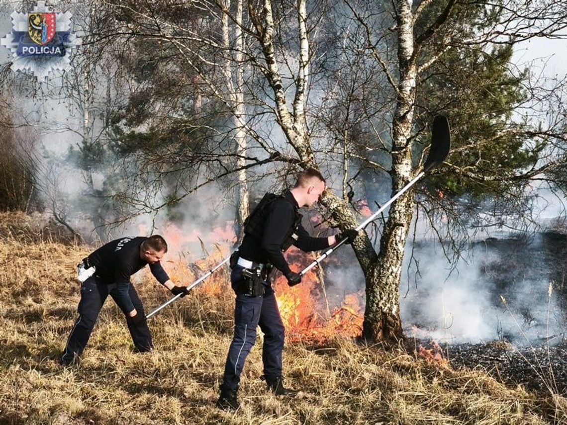 Pożar ścierniska w Polkowicach. Szybka akcja służb