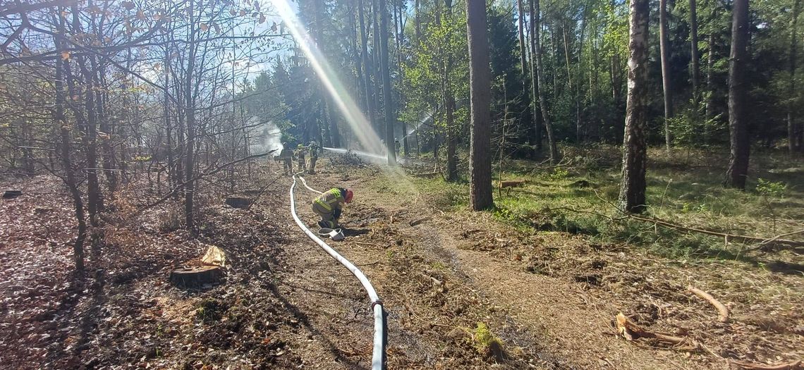 Pożar w scenariuszu, bezpieczeństwo w realu. Ćwiczenia w lasach pod Głogowie