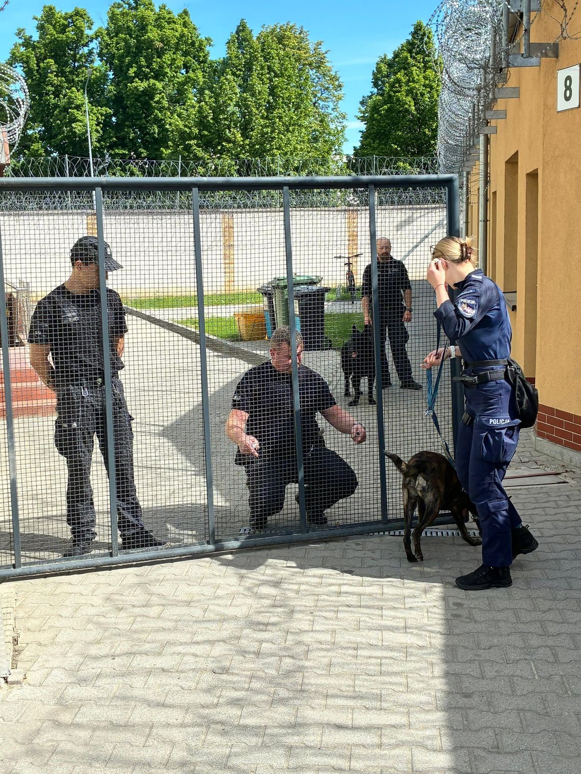 Psy specjalne sprawdzały cele w głogowskim więzieniu