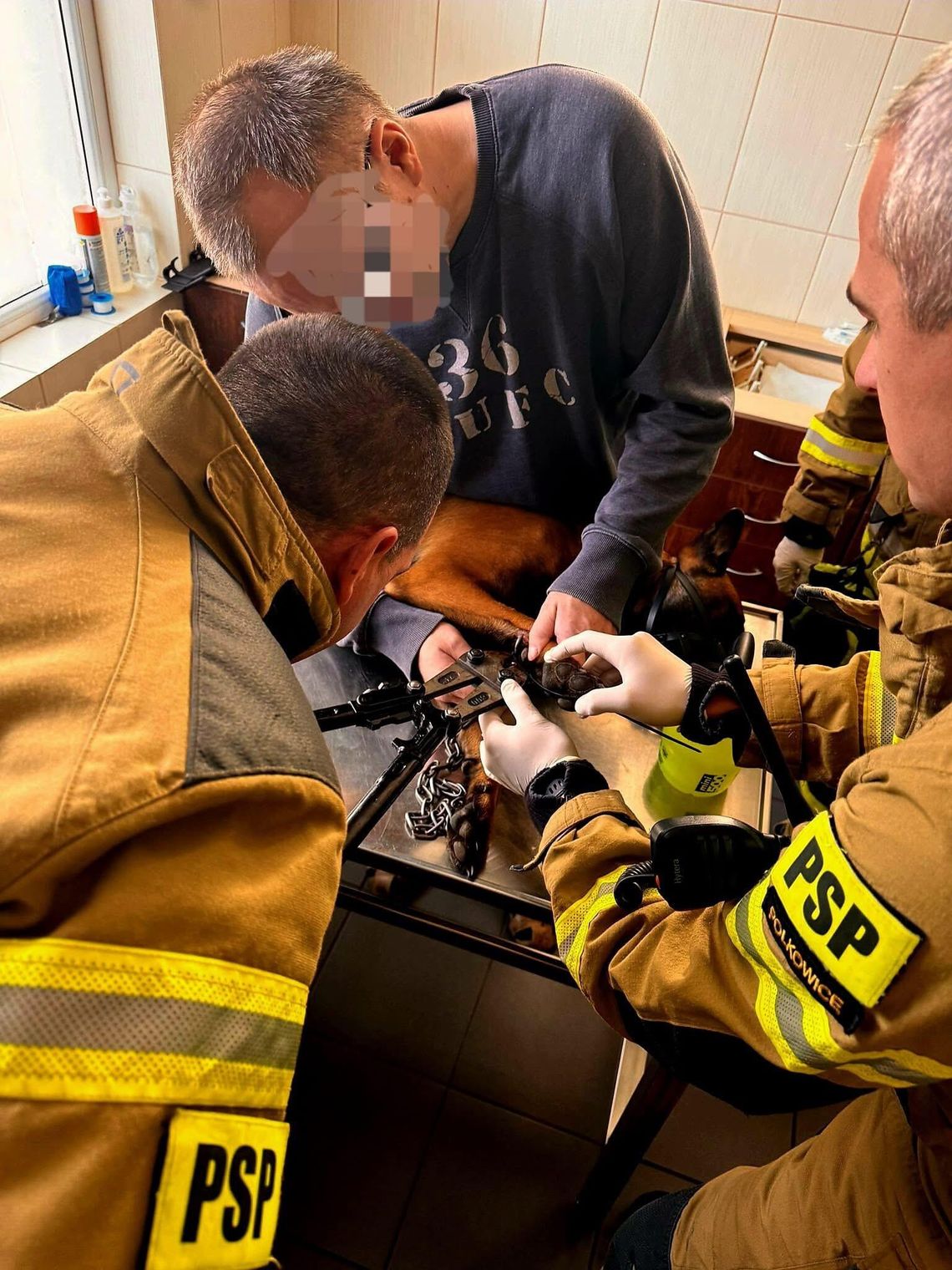 Ratowali psa z uwięzioną łapą