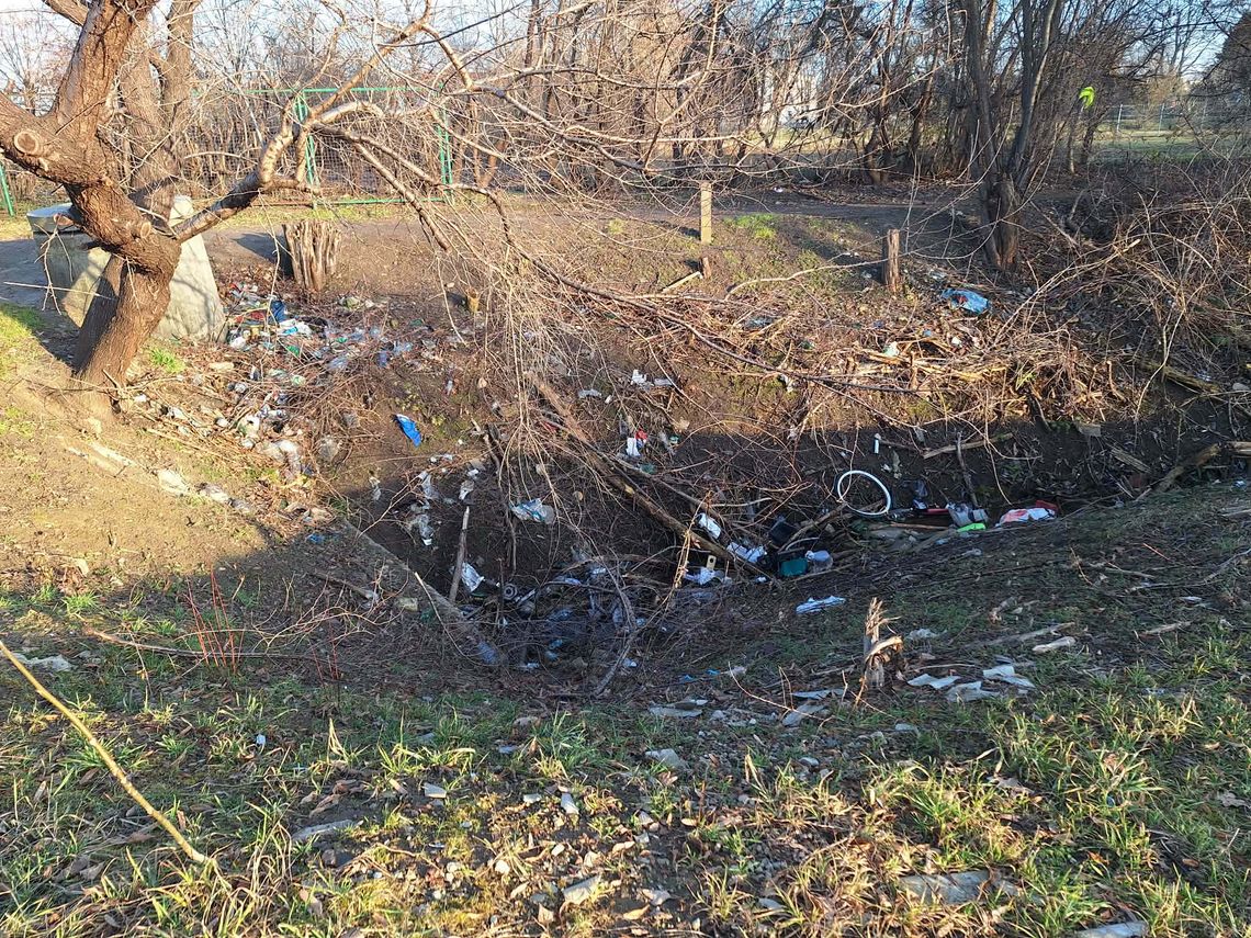 Śmieci przy ul. Henryka Głogowskiego. Mieszkanka oburzona Śmieci przy ul. Henryka Głogowskiego. Mieszkanka oburzona