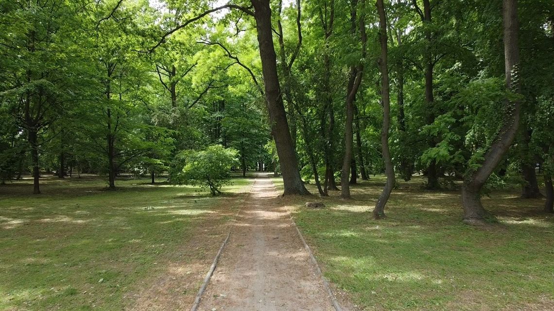 TO BĘDZIE PARK JAK MARZENIE TO BĘDZIE PARK JAK MARZENIE