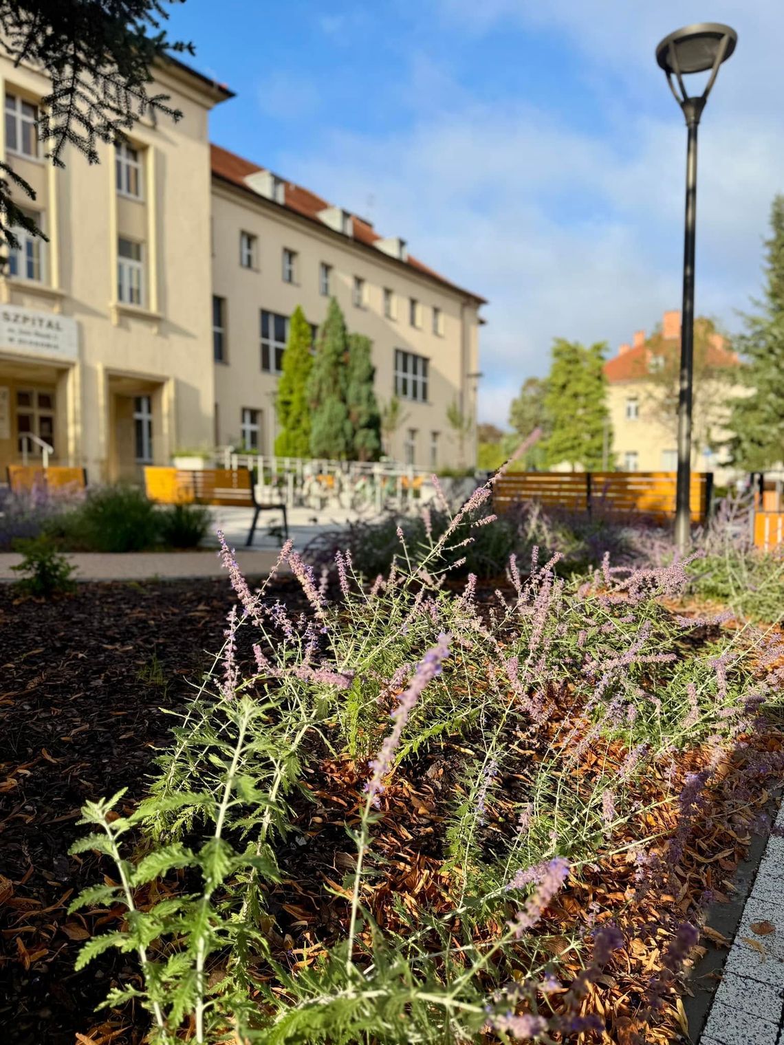 Tu jesień wygląda wyjątkowo. Zadbana zieleń wokół szpitala w Głogowie Tu jesień wygląda wyjątkowo. Zadbana zieleń wokół szpitala w Głogowie