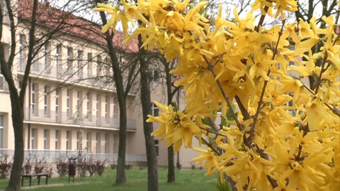 W POŁOWIE MIEJSKI. Szpital miejsko-powiatowy staje się faktem.