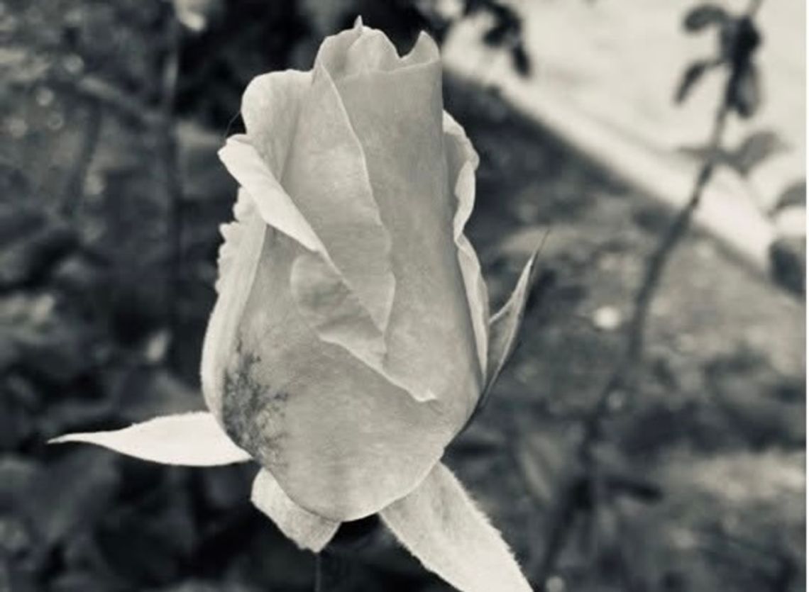 Zmarł dr Thao Phongsavath. Wieloletni lekarz szpitala w Głogowie Zmarł dr Thao Phongsavath. Wieloletni lekarz szpitala w Głogowie