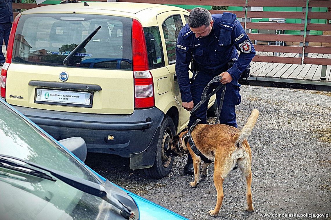Zostań przewodnikiem psa służbowego w Policji – jak zacząć?