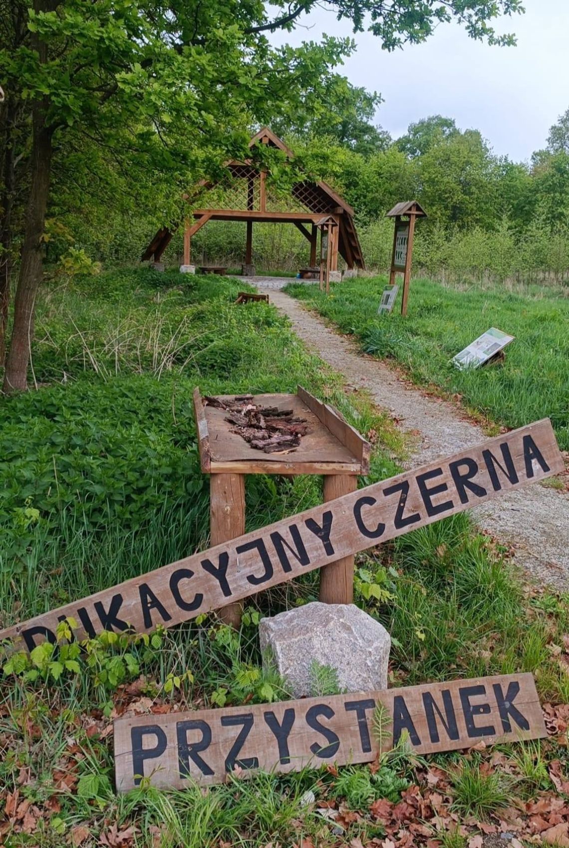 Zuchwała kradzież w Czernej! Straż Leśna i Policja odzyskały łup